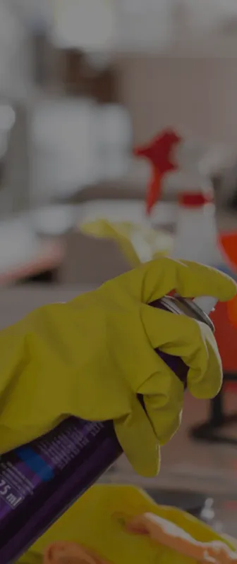 Cleaners Available in Johnston